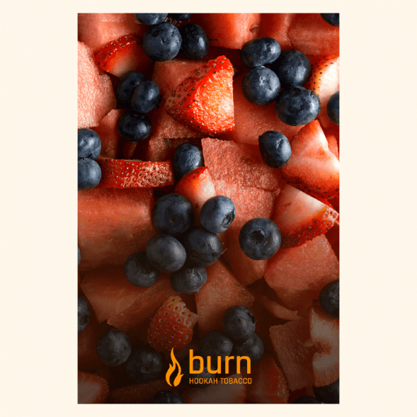 Табак Burn - Berried Treasure (Ягодный Микс, 100 грамм) купить в Екатеринбурге