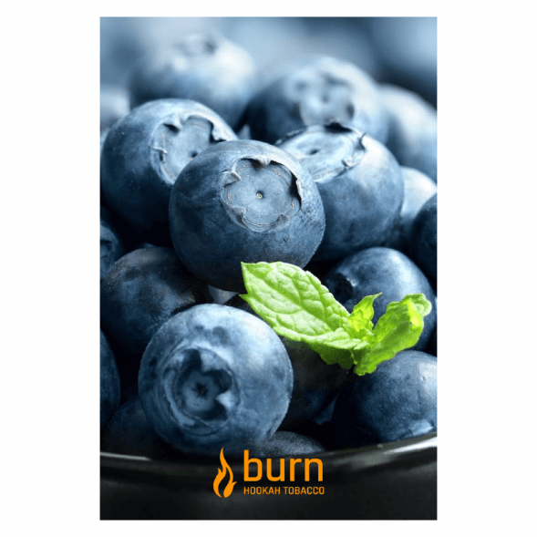 Табак Burn - Blueberry Mint (Черника с Мятой, 100 грамм) купить в Екатеринбурге