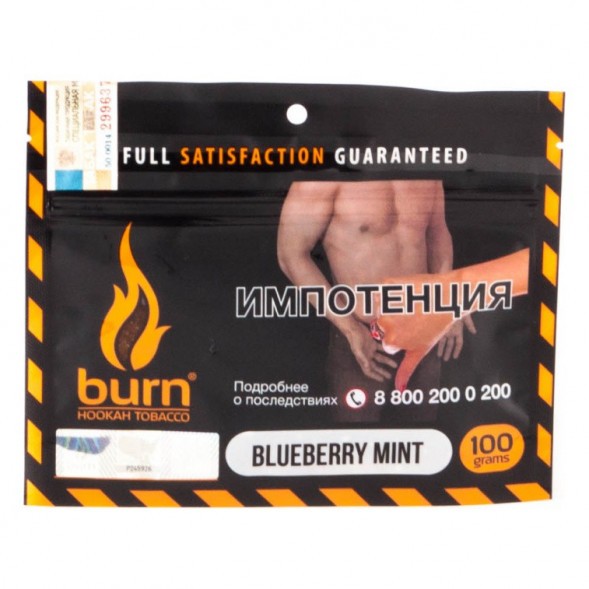 Табак Burn - Blueberry Mint (Черника с Мятой, 100 грамм) купить в Екатеринбурге