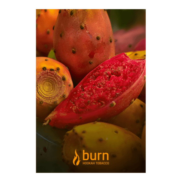 Табак Burn - Cactus (Кактус, 100 грамм) купить в Екатеринбурге