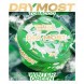 Табак жевательный DryMost - Winter Green (12 грамм) купить в Екатеринбурге