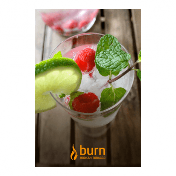 Табак Burn - Kamikaze (Лайм Малина Лед, 100 грамм) купить в Екатеринбурге