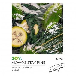 Табак Joy - Always Stay Pine (Эвкалипт, Фейхоа и Хвоя, 25 грамм)