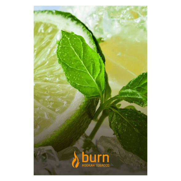 Табак Burn - Lemon Mint (Лимон с Мятой, 100 грамм) купить в Екатеринбурге