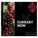 Табак Jent - Currant WOW (Кислая Смородина, 200 грамм) купить в Екатеринбурге