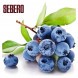 Табак Sebero - Blueberry (Голубика, 25 грамм) купить в Екатеринбурге