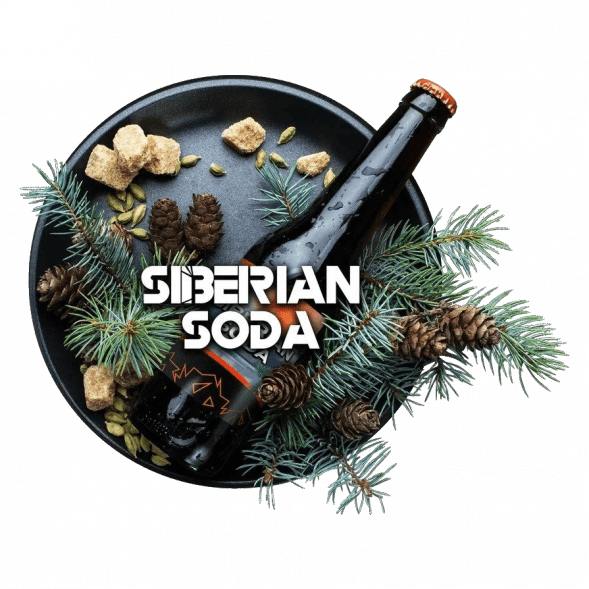 Табак BlackBurn - Siberian Soda (Лимонад Байкал, 100 грамм) купить в Екатеринбурге