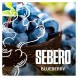 Табак Sebero - Blueberry (Голубика, 100 грамм) купить в Екатеринбурге