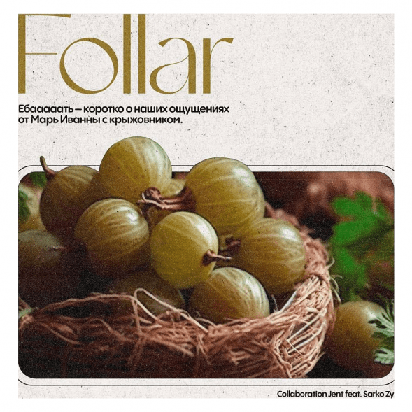 Табак Jent - Follar (Марь Иванна с Крыжовником, 200 грамм) купить в Екатеринбурге