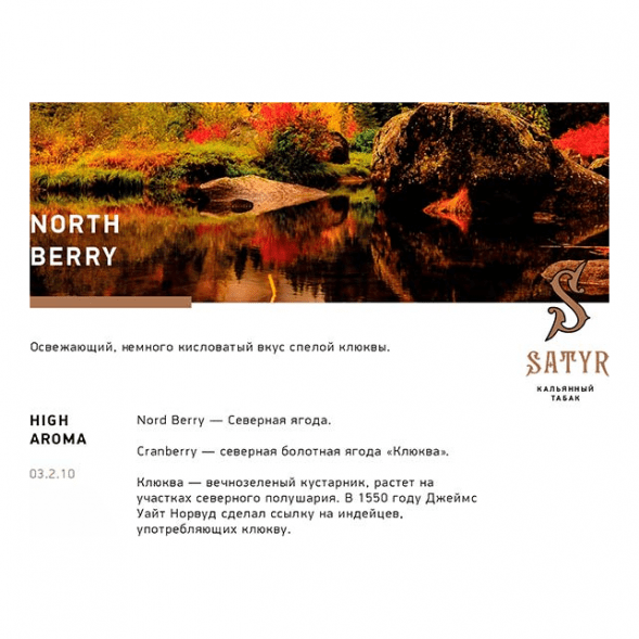 Табак Satyr - North Berry (Северная Ягода, 100 грамм) купить в Екатеринбурге