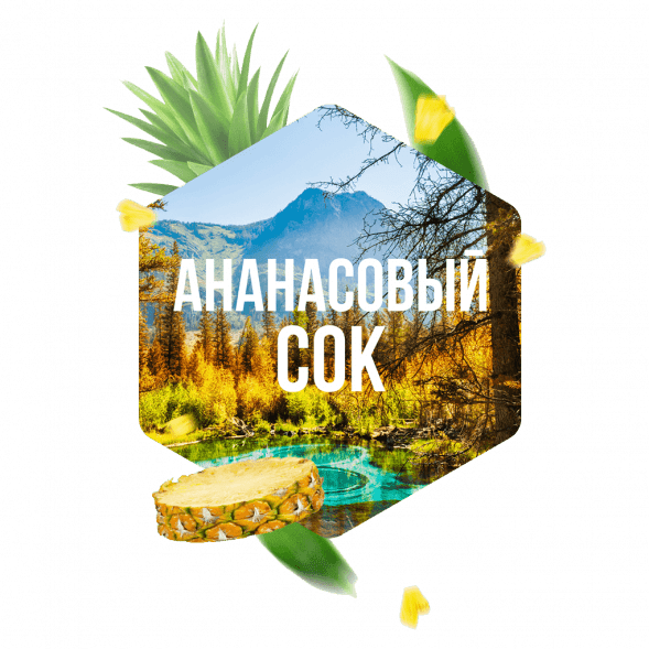 Табак Сарма - Ананасовый Сок (100 грамм) купить в Екатеринбурге