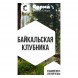 Табак Сарма - Байкальская Клубника (100 грамм) купить в Екатеринбурге