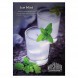Табак Must Have - Ice Mint (Ледяная Мята, 125 грамм) купить в Екатеринбурге