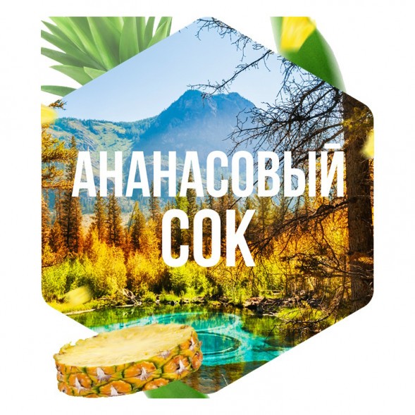 Табак Сарма - Ананасовый Сок (25 грамм) купить в Екатеринбурге