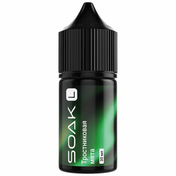 Жидкость SOAK L30 - Cane Mint (Тростниковая Мята, 30 мл, 2 мг) купить в Екатеринбурге