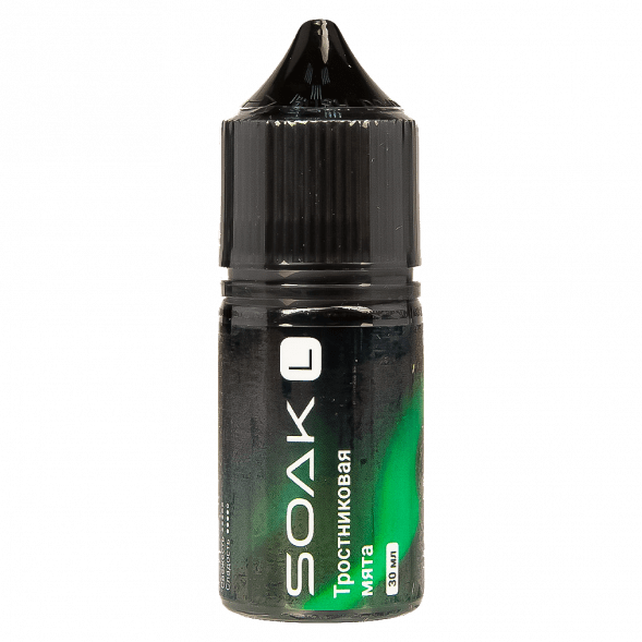 Жидкость SOAK L30 - Cane Mint (Тростниковая Мята, 30 мл, 2 мг) купить в Екатеринбурге