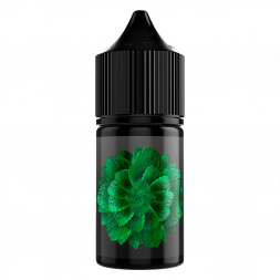 Жидкость SOAK L30 - Cane Mint (Тростниковая Мята, 30 мл, 2 мг)