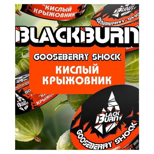 Табак BlackBurn - Gooseberry Shock (Кислый Крыжовник, 100 грамм) купить в Екатеринбурге