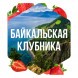 Табак Сарма - Байкальская Клубника (200 грамм) купить в Екатеринбурге