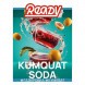 Табак Ready - №3 Kumquat Soda (Газировка, Кумкват, 25 грамм) купить в Екатеринбурге