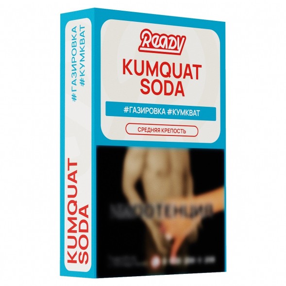 Табак Ready - №3 Kumquat Soda (Газировка, Кумкват, 25 грамм) купить в Екатеринбурге