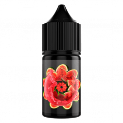 Жидкость SOAK L30 - Watermelon Smoothie (Арбузный Смузи, 30 мл, 2 мг)