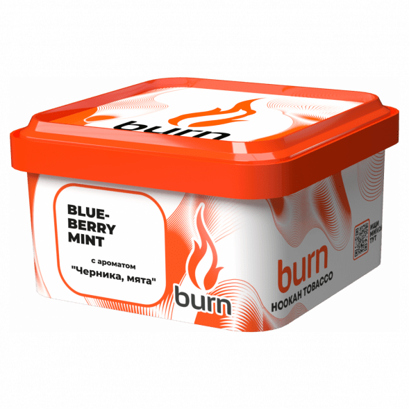Табак Burn - Blueberry Mint (Черника с Мятой, 200 грамм) купить в Екатеринбурге